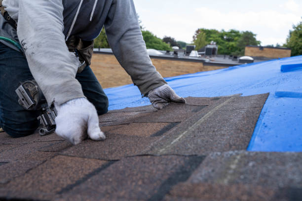 Professional Roofing Contractor in Corvallis, OR